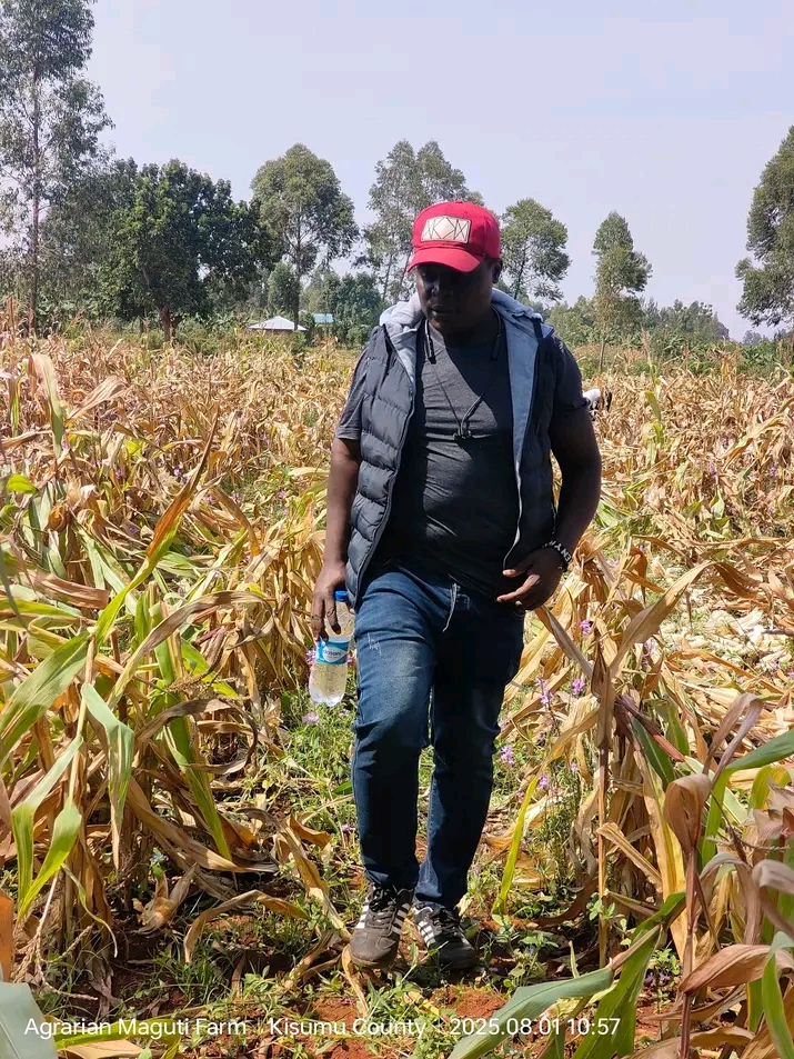 Farm